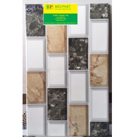GẠCH TRANG TRÍ 25X40 BÌNH CHÁNH