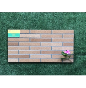 GẠCH TRANG TRÍ 25X50 TRÀ VINH